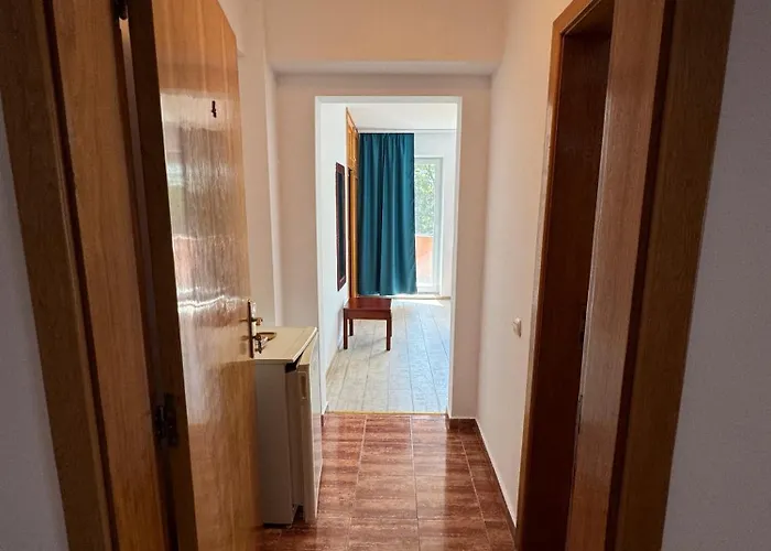 Ilinca 게스트하우스