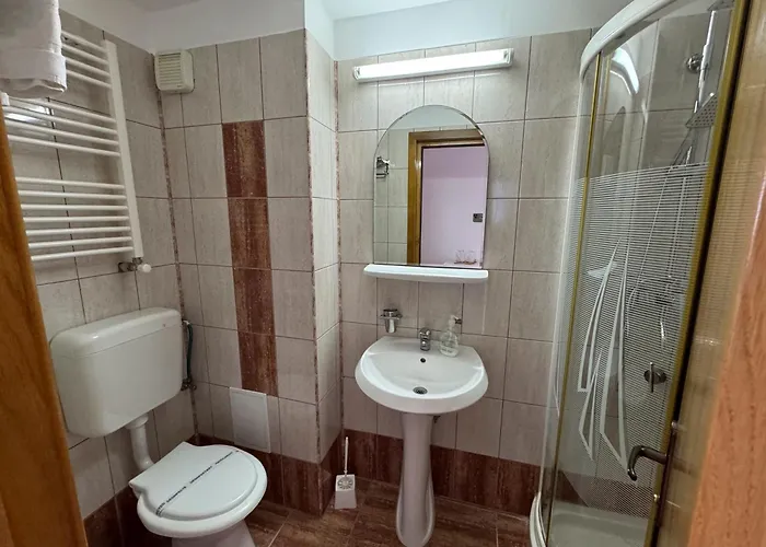 게스트하우스 Ilinca 아지제아