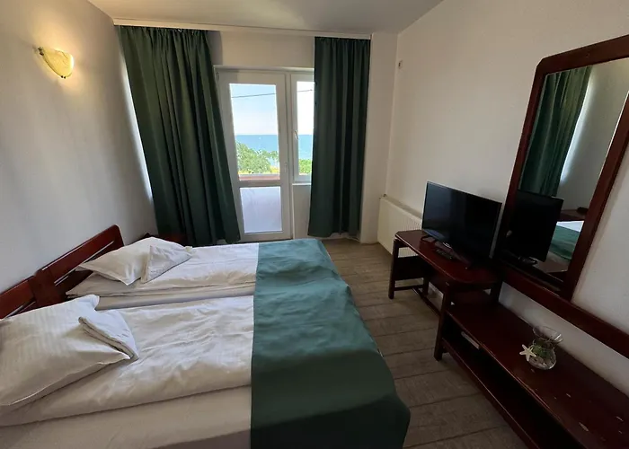 Ilinca 게스트하우스 *