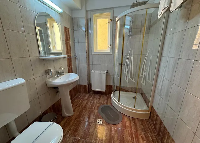 Ilinca 게스트하우스 *