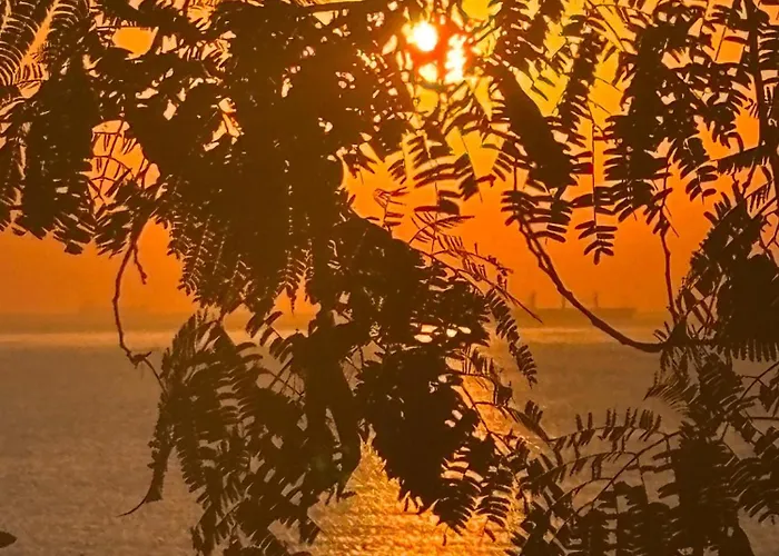 Ilinca * 아지제아