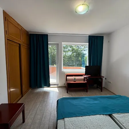 Guest house Ilinca Agigea