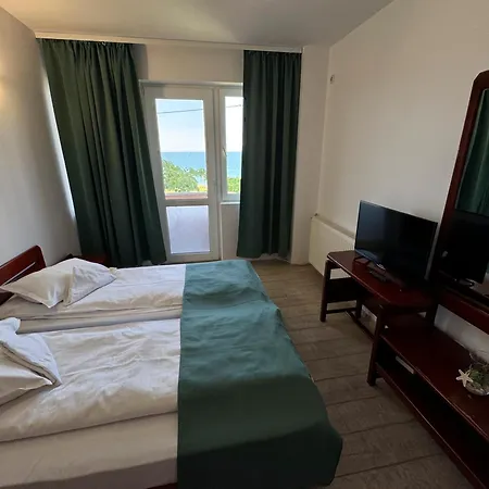 Ilinca Guest house *