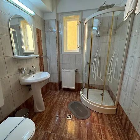 Ilinca Guest house *